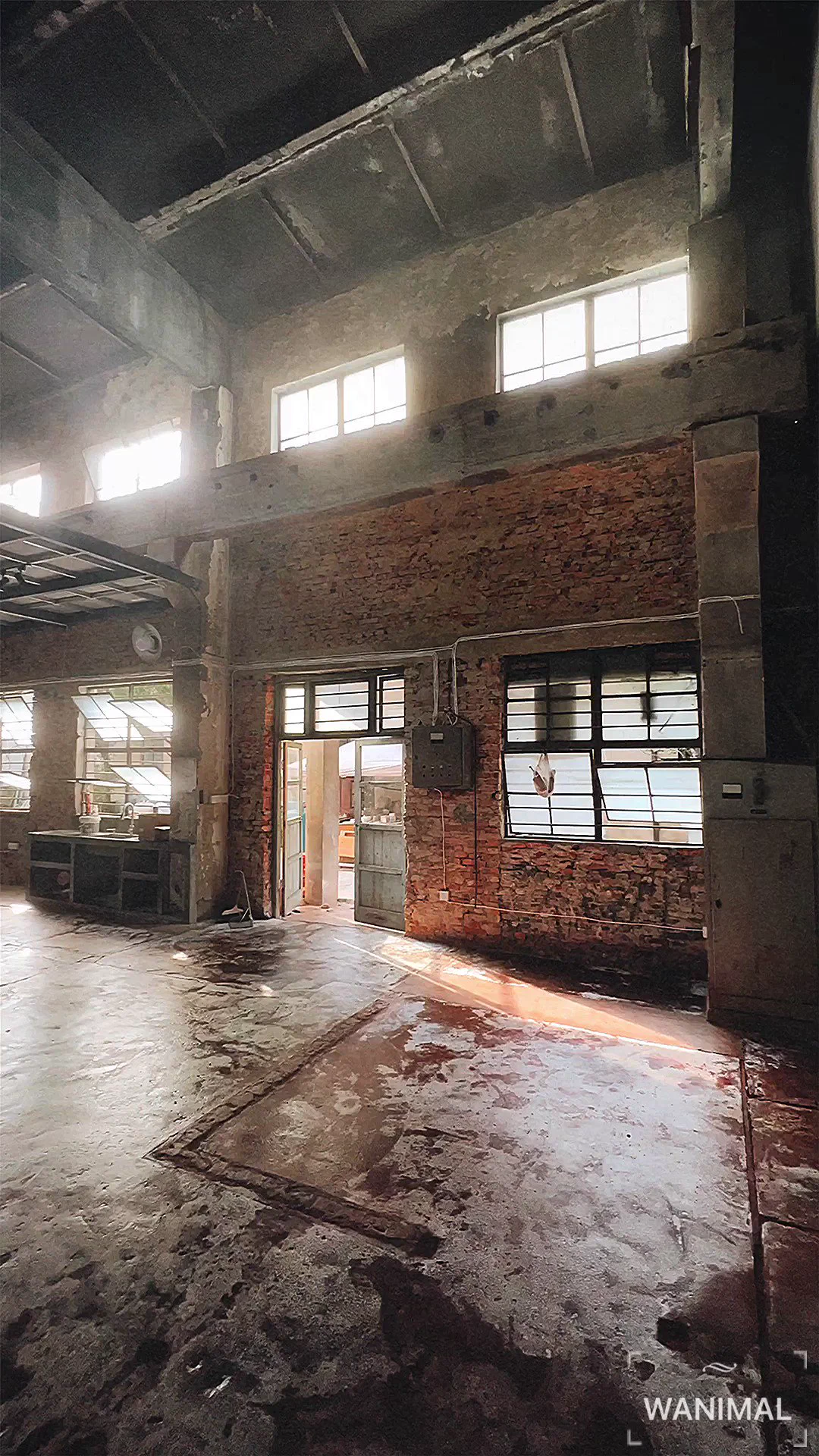 WANIMAL THEATER 景德鎮 2023COMING SOON https://t.co/7foVZjZilz