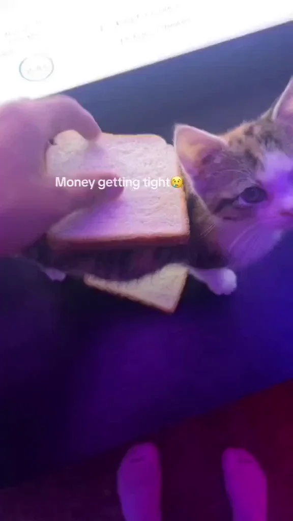 https://t.co/lDn3lSdckJ