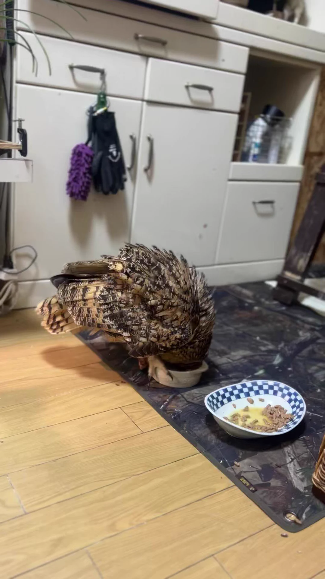 高速すぎて顔がわからんし。。。🤣 https://t.co/9IJ4OV8F0r