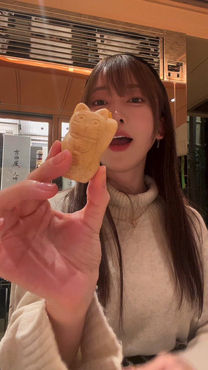 ごまちゃん https://t.co/vjMNUipTK1