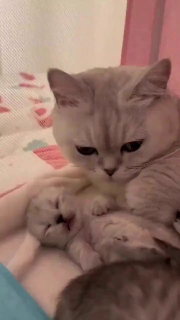 Mothers love ❤️ https://t.co/iXQcOGthKs