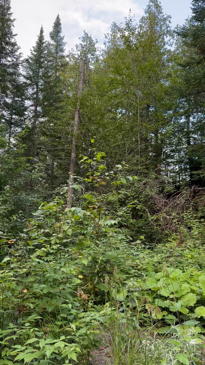 happy birthday to this remarkable human and sweet angel! so happy to know you I love you so much 👼♥️🎉

@plantgal666 https://t.co/5pmwfnINRl