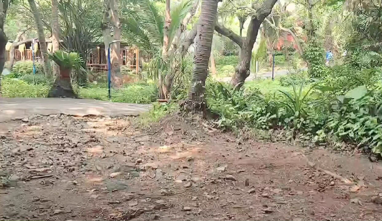 出来春游，什么东西藏在后面？ https://t.co/NSJTM2qMce