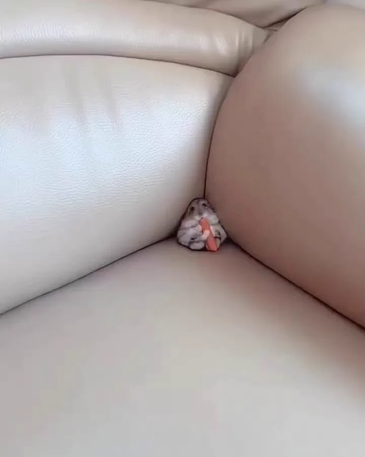 Happy life 🥰 https://t.co/E8wlz9M2qZ