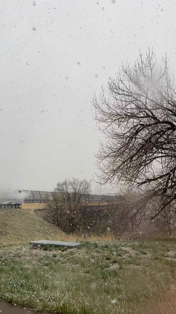 Wrong season, Colorado ! https://t.co/Q7t2LCoQ4k