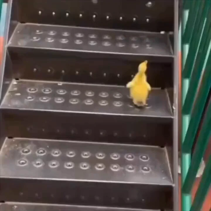 Something to make you smile.. 😊 https://t.co/oCMYVPnG3b