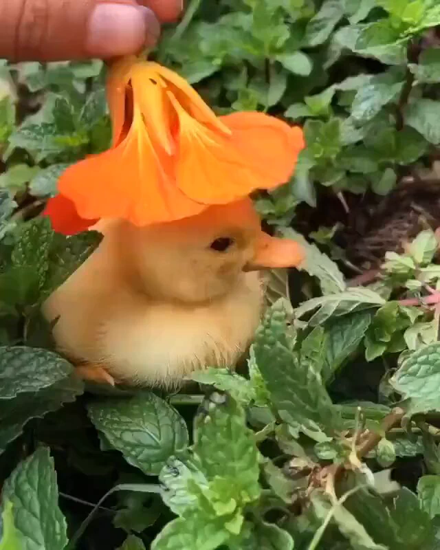 https://t.co/VE4Lx02rFc