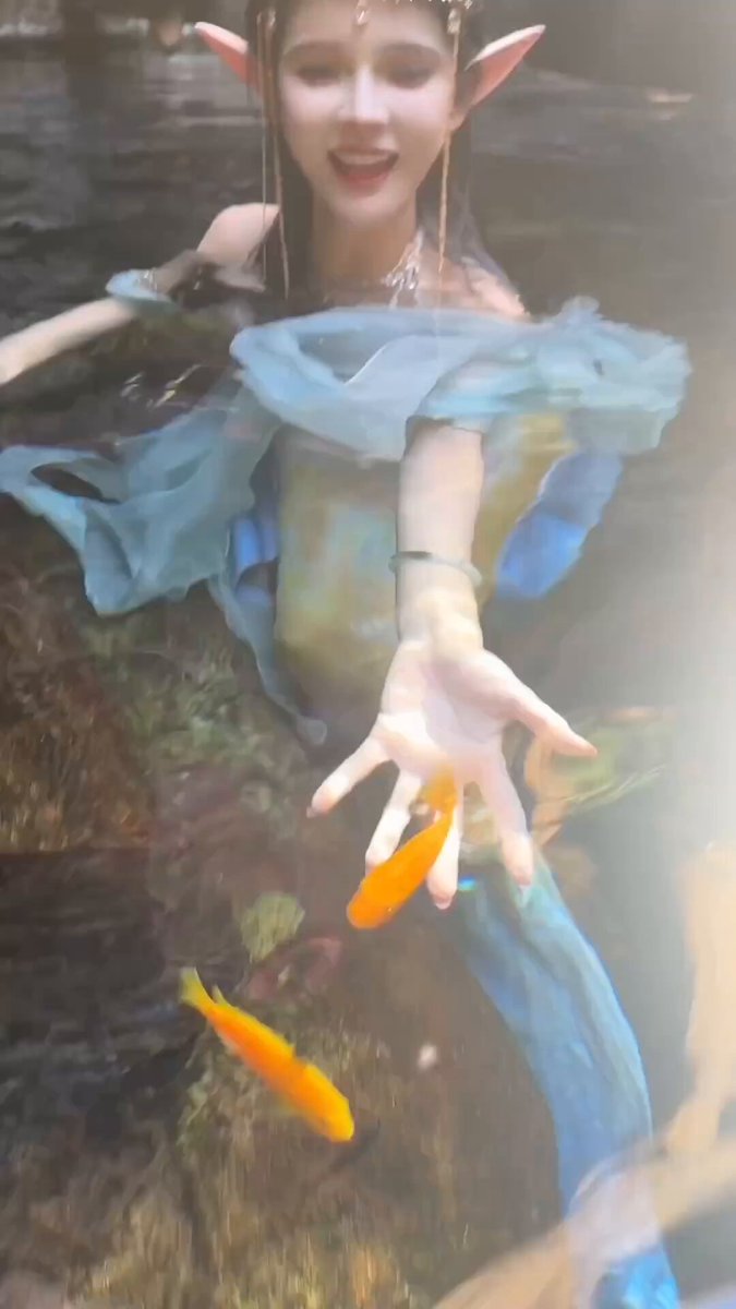 重生之化身一条固执的鱼 https://t.co/5lud64zNN4