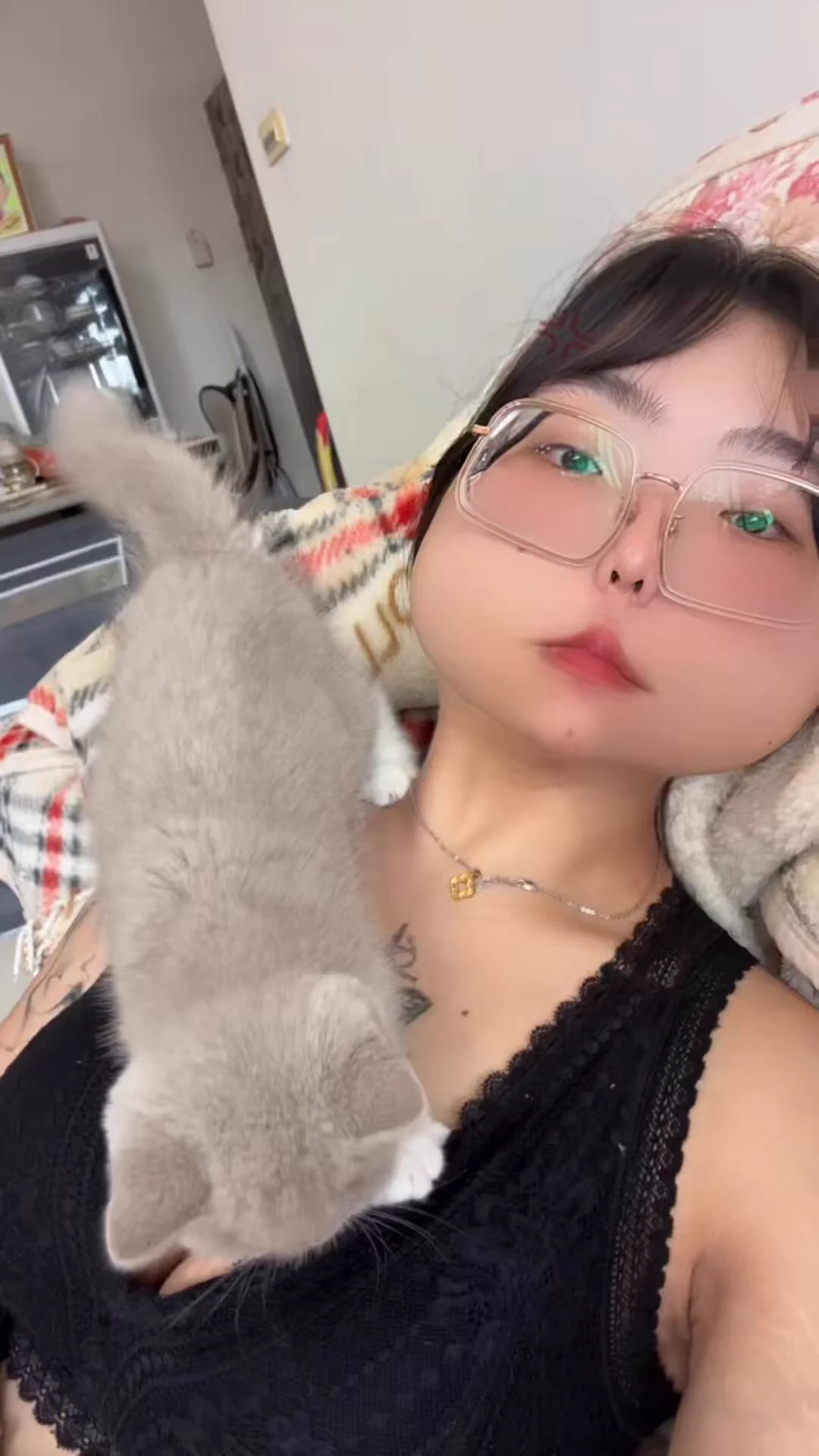 新寵🐱 https://t.co/JXm2l4LZ77