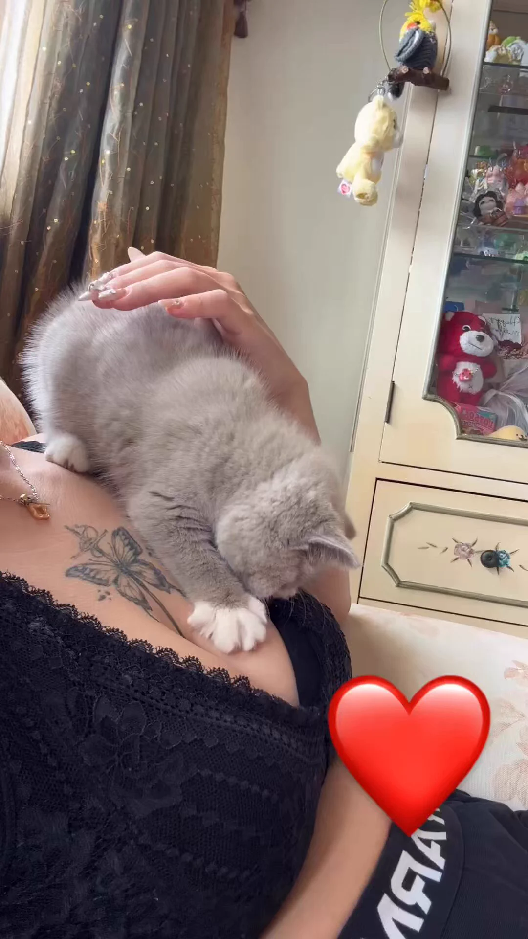 🐱 https://t.co/J04gECKbkB