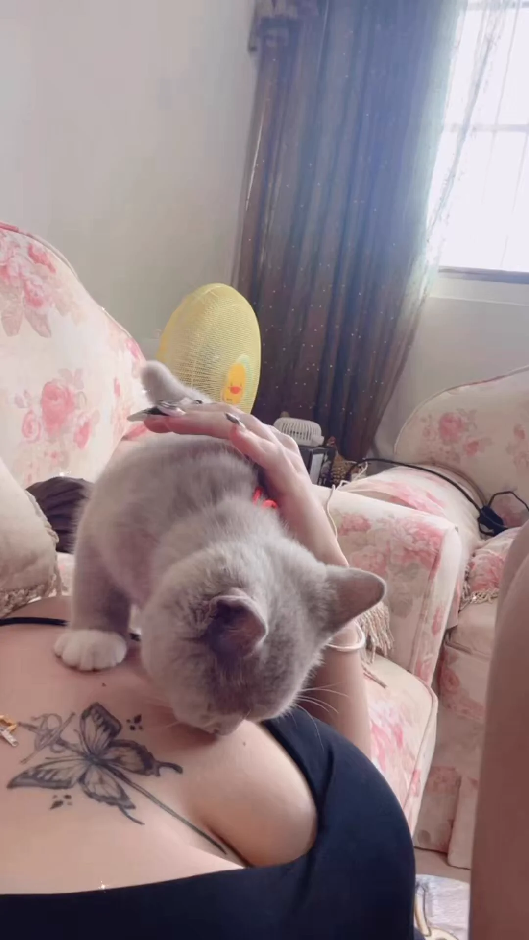 她是招財貓我是小野貓😜 https://t.co/UWOa9dFhwt