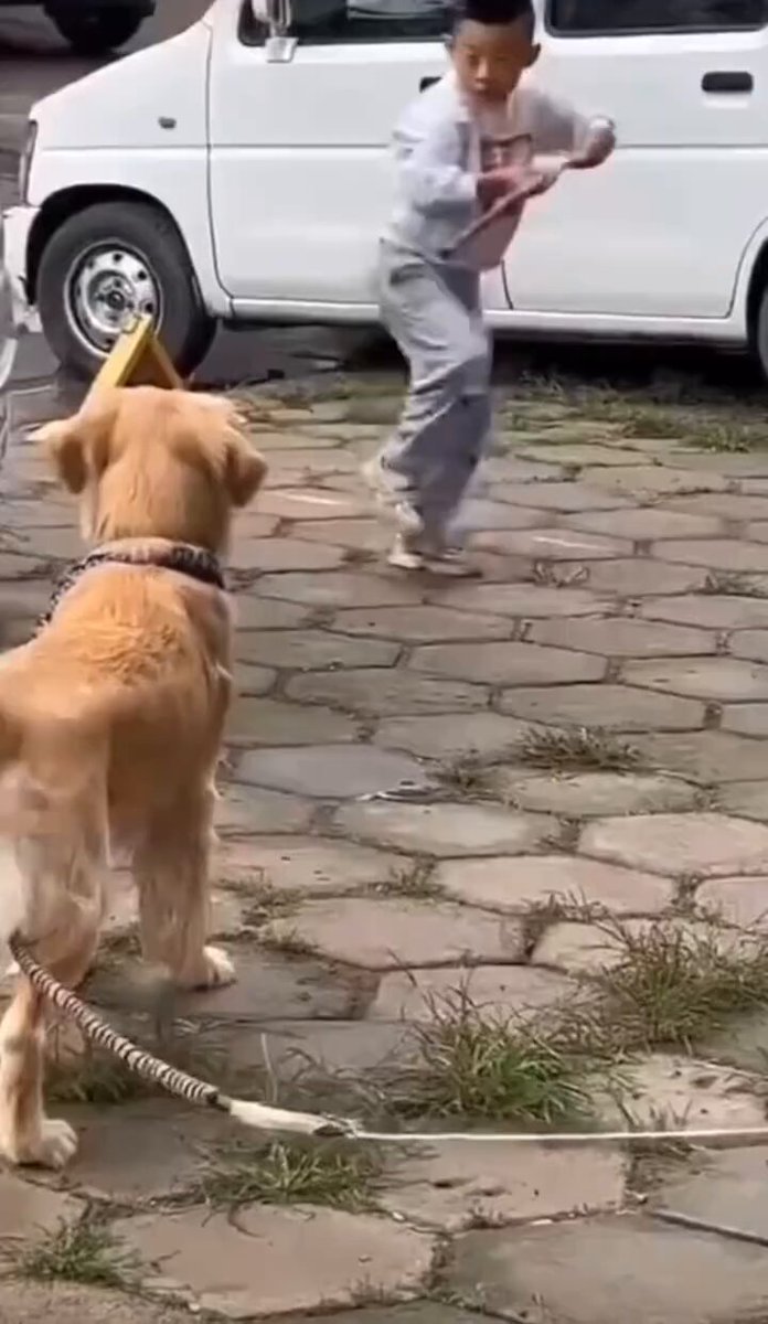 原本要睡的，笑的我肚子疼哈哈哈哈哈哈哈哈哈哈哈哈哈哈哈哈哈哈哈哈哈哈！ https://t.co/Nst6ruBTAT