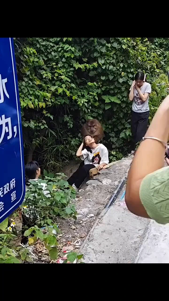 ini otannya udah gede banget mana galak sumpah🫣🫣 https://t.co/6FmpEwRW4f