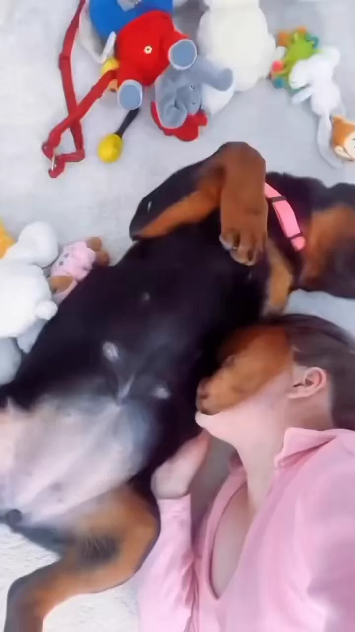 Wait for the end 🤣😂 https://t.co/a2wqkp7MIe