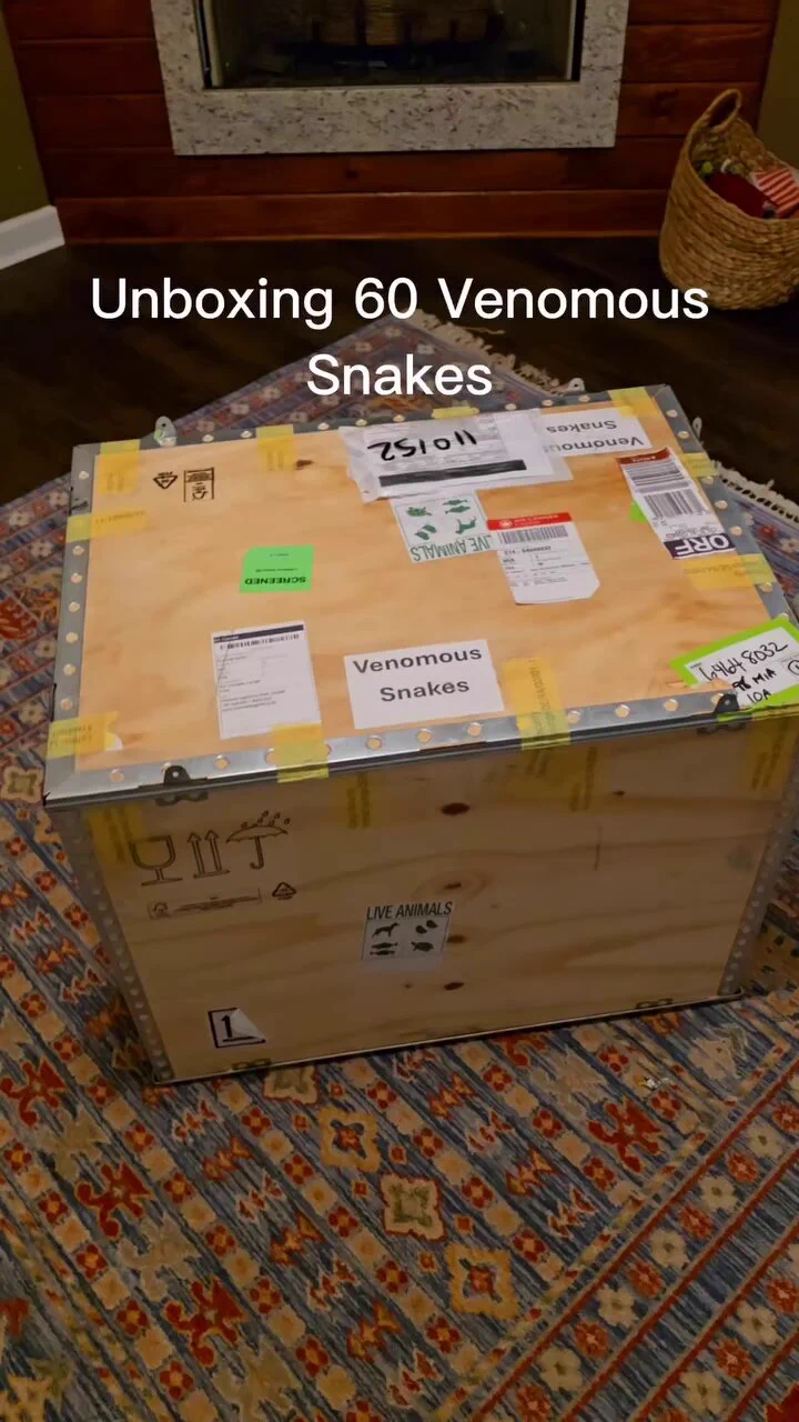 Inside this container is snakes worth 30k📹 joeyjosselson https://t.co/BGYPj9rrL5