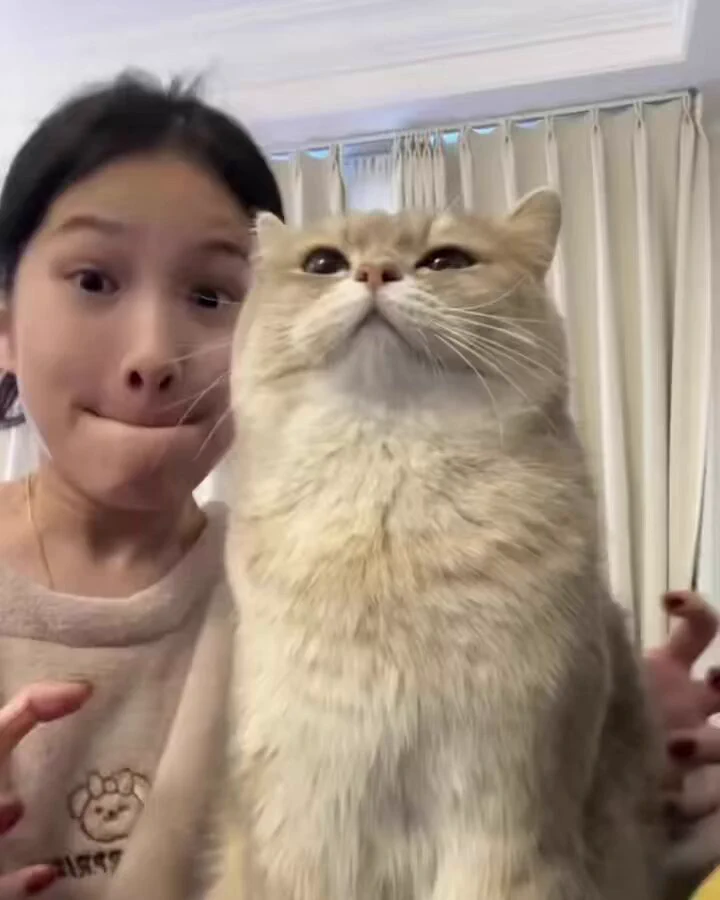 cuteness aggression 😂 https://t.co/eV0l9uxcVM