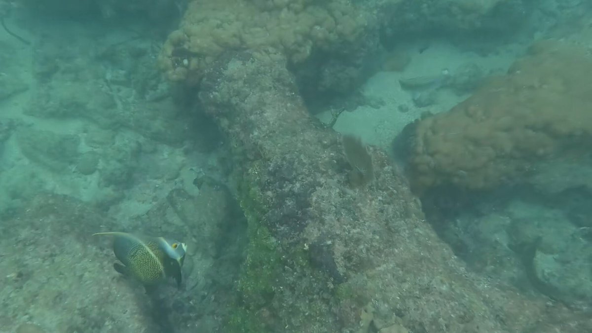 Last freedive of 2025. Happy New Year's Everybody. May your dreams come true in 2025. #BaldysBreakdowns https://t.co/0Q3dhAWyNj