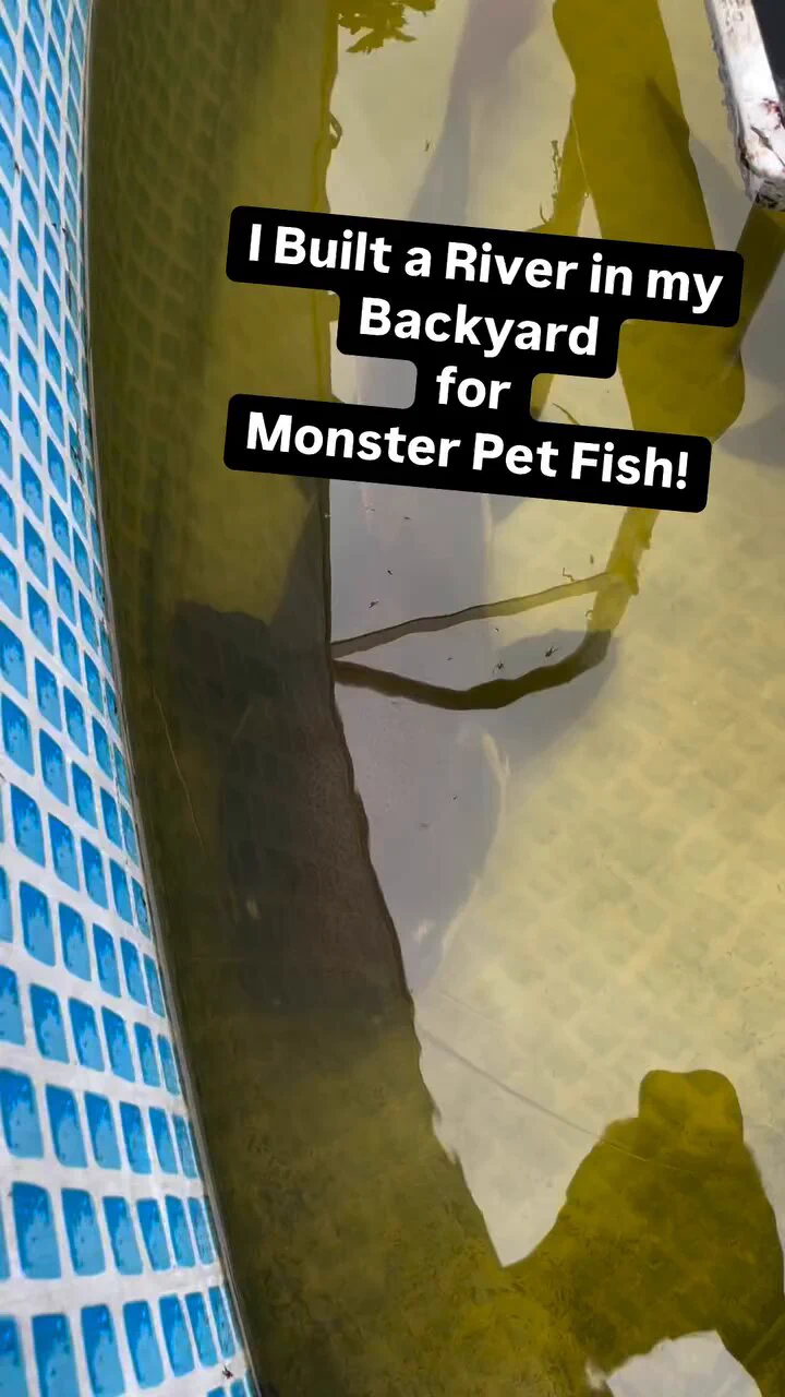 Dude built an actual river in his backyard https://t.co/4niGedWkF0
