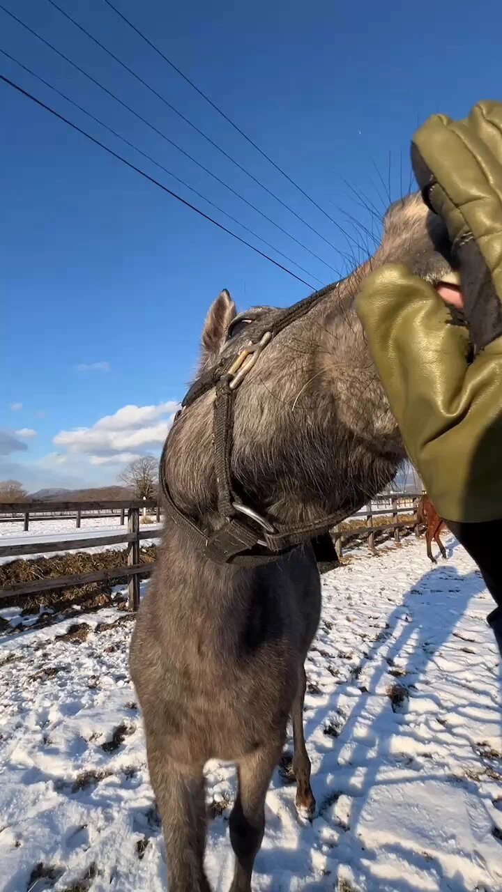 順調に悪ガキ化しています😂 https://t.co/4E3EgCa2U9