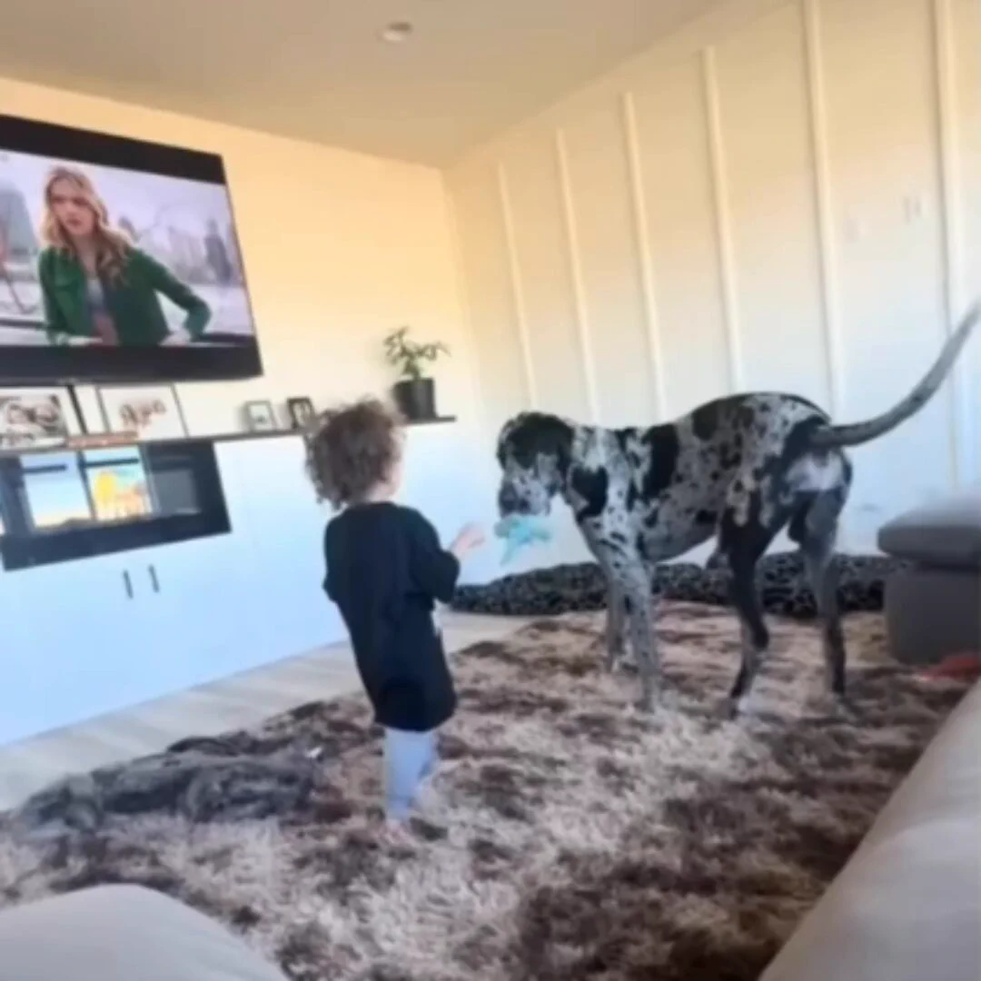 Best friends.. 😊 https://t.co/LNAJ03FuuZ