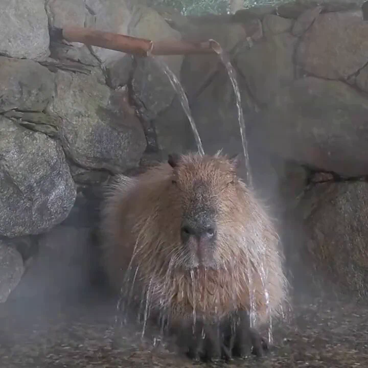 Spa day.. 😊 https://t.co/9nLjfa3vB3