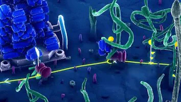 🐜 New automation game!Control a colony of robotic ants. Create pathways to make it efficient, feed your queen and develop the colony!Play the DEMO &amp; Wishlist Microtopia 👇 https://t.co/NmLjCJDmU4 https://t.co/CgiIRgkEIs