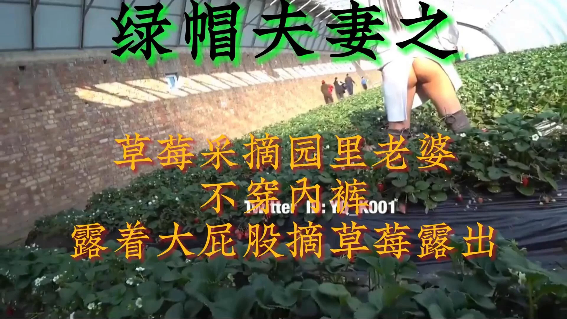 绿帽夫妻之 在草莓采摘园里不穿内裤撅着大屁股摘草莓好刺激投稿💌：@SexytoBaby@SexytoLady@SexytoDoll@SexytoGirl https://t.co/41EAJuThCr