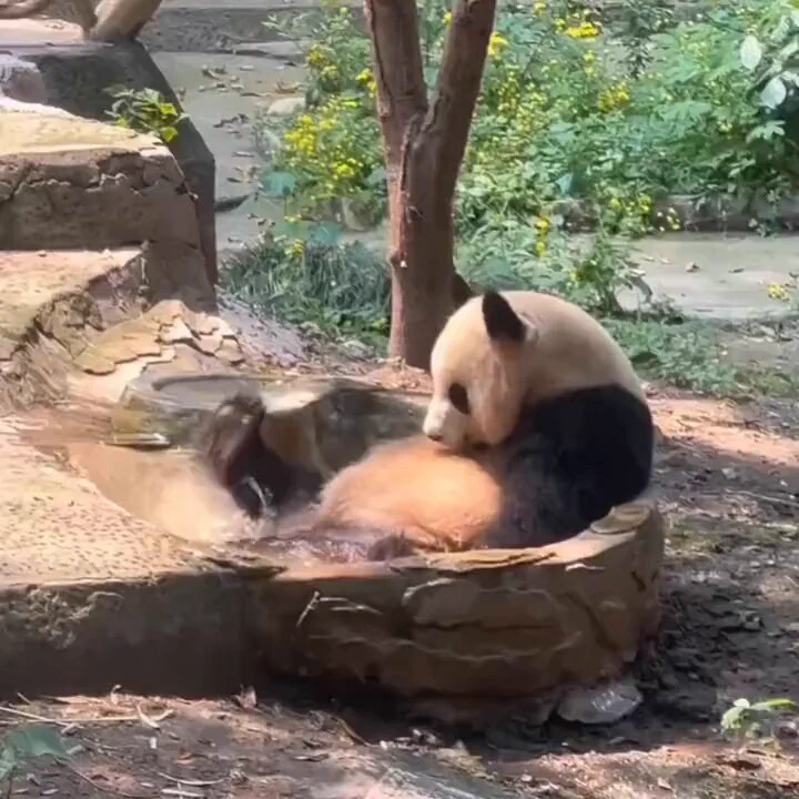 Mood.. https://t.co/DDlXMqwJln