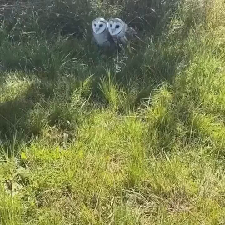 “You want a close up?” 😅 https://t.co/XV7ws6niNc