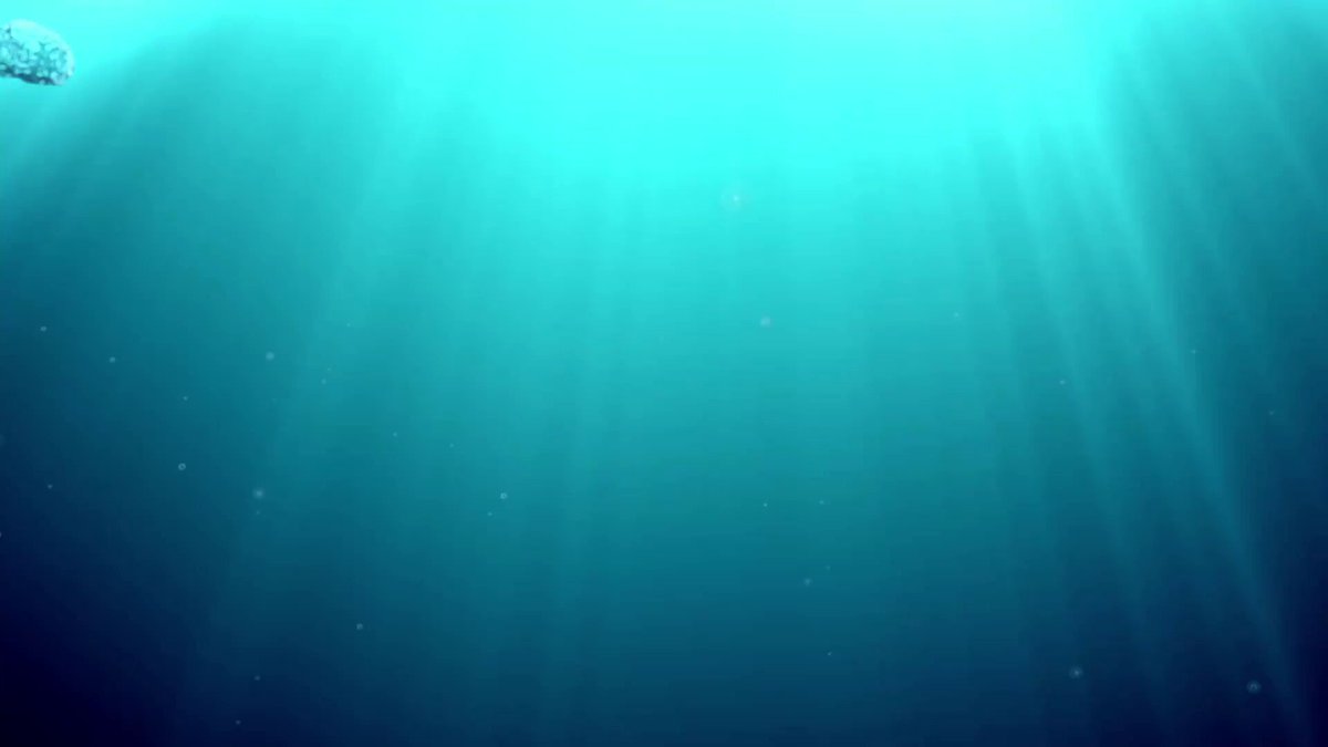 新奇有趣的海底世界。真有可能实现吗？好想知道，好想尝试。

@SexytoBaby
@SexytoLady
@SexytoDoll
@SexytoGirl https://t.co/nyaOfjG8WW