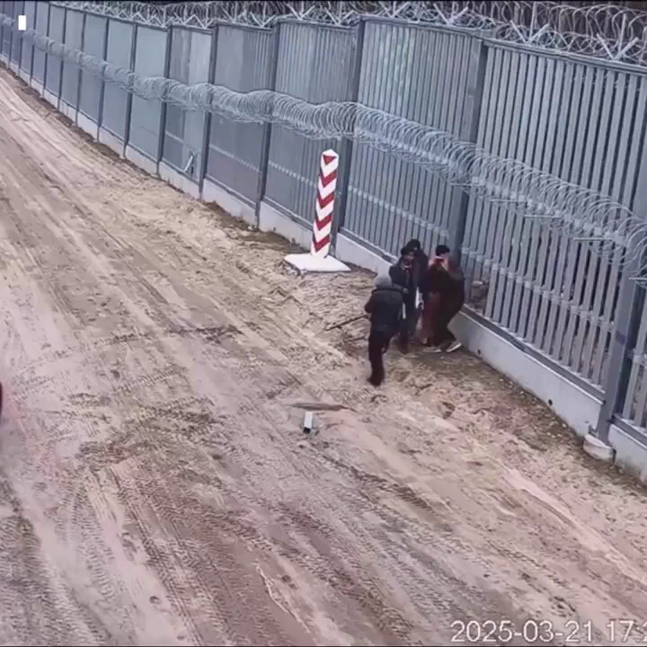 Poland showing the world what a professionally secured boarder looks like 💪🇵🇱 https://t.co/bYEqXMyoCs