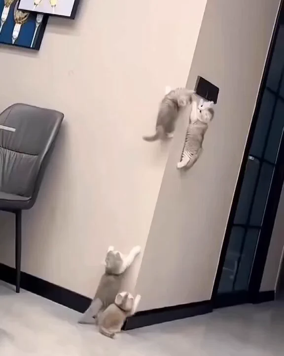 climbers https://t.co/7zzuyVXUPQ