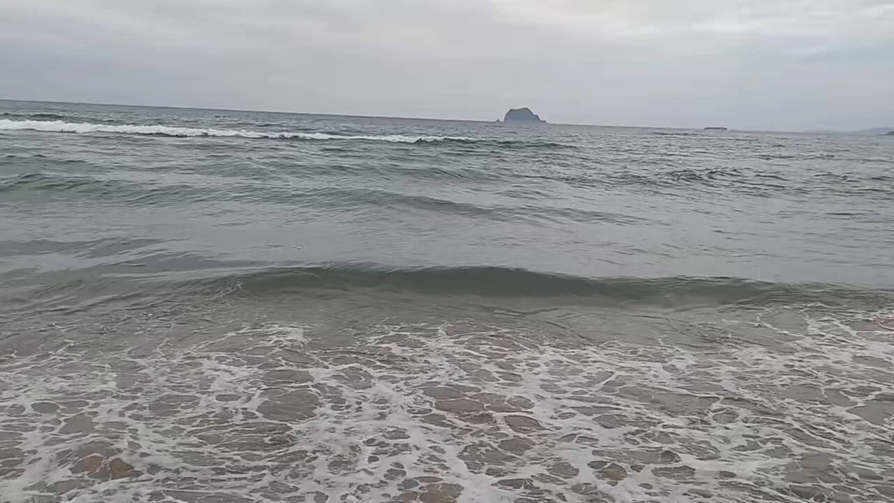 最近看大家去海邊玩，看了我也想去海邊～🥺 https://t.co/TaS65ZLby5