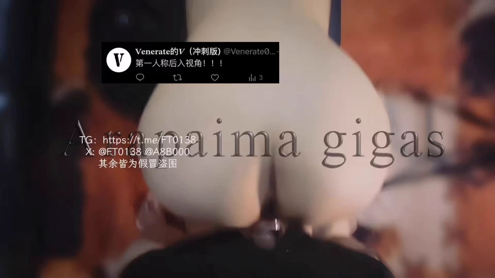 评论区看啥我发啥系列之“第一人称后入视角！！！”后入05年粉丝“Miss su酥小姐”Film.💻紧致的小穴 年轻的身体 桃子🍑屁股 @ToBulaer @KawasawaSen @ToBulma @BulmaList The first person enters the peach buttock. https://t.co/DfDAqaZowp
