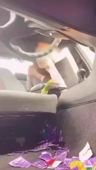parte movies 023132 https://t.co/Epxvu64Ckg