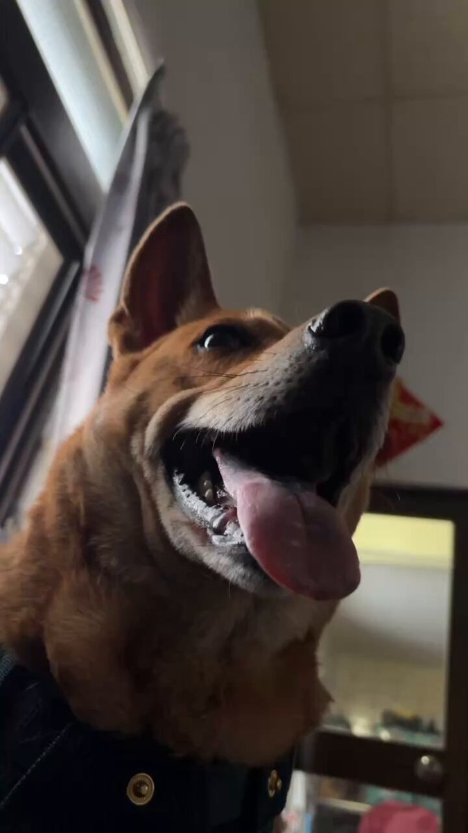 深淵 https://t.co/F56nuTXdzw