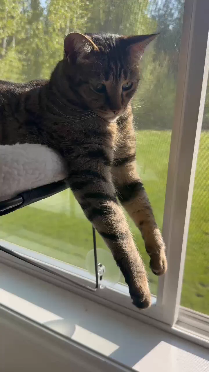 wild he’s just chillin like this 😂 https://t.co/tcO6eoXwBv
