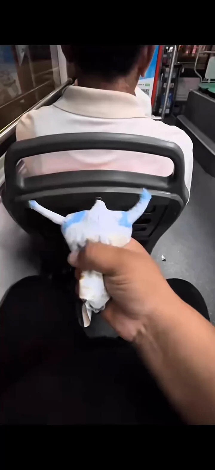 อยากกินตีนเหรอ?🤣#ขำๆ #funniestvideo #fypシ #foryou https://t.co/YMLrE3LT1M