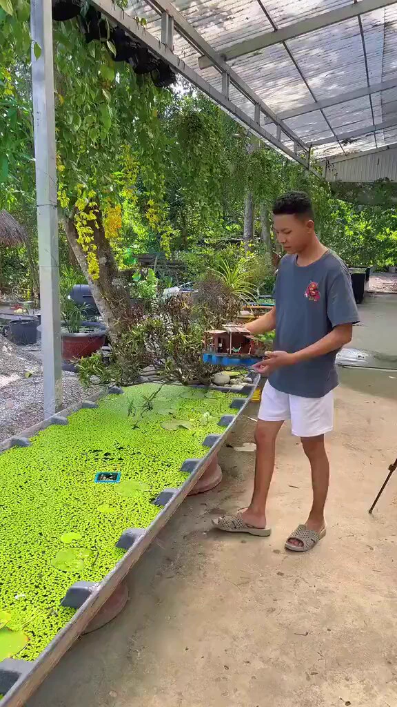 Cool creativity. https://t.co/hyBuXO7hhc
