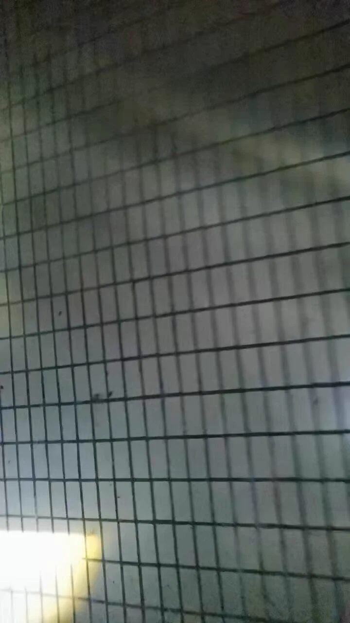 记录珠三角站街一角 2025.4.27经🐔形势不好，中年妇女失业 #站街老菜皮了100泄火套餐，150口硬来干 https://t.co/DagqNgYd7n