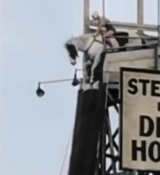 In the 1880s, horse diving began, inspired by William "Doc" Carver, after his horse jumped off a bridge into a river. A brief attempt was made in 2012 to revive it. https://t.co/wSvQf6XczV
