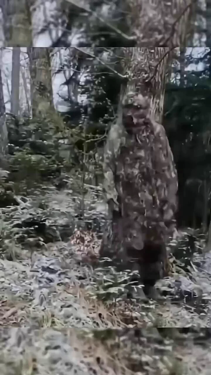 camouflage art https://t.co/lmxrHMs0O6