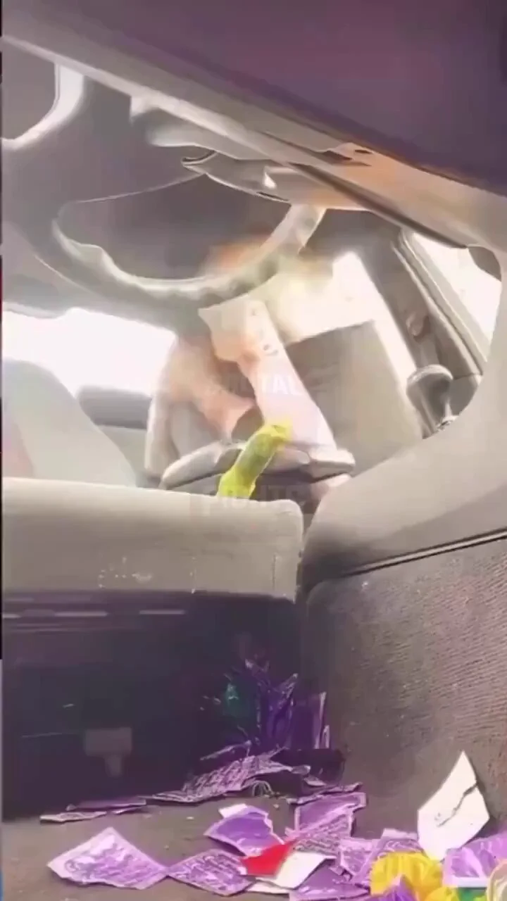 The car smell just has to be insane 😭 https://t.co/XHZo9kfYm1