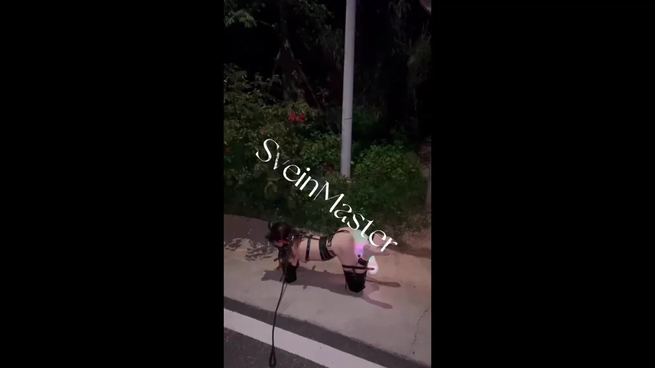 拴起来的母狗来给主人舔鸡巴和舔屁眼。如果舔的不干净就会有惩罚 #sm #母狗 #人形犬 #dom #sub #肉便器 #圈养 #美女 #bdsm #精壶 #宠物 #项圈 #犬调 #胁迫 #奴隶 #性奴 #母畜 #bdsm #尿壶 #厕奴（因平台不能发完整版 完整版看置顶或评论区） https://t.co/cGnHpKsGKr
