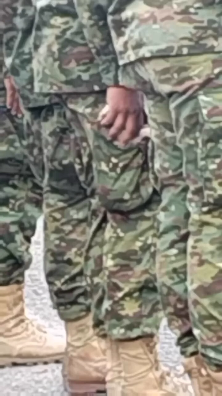 コロンビアで一人の兵士が軍隊の兵士達が集合しているときに迷彩服のポケットに入れた子猫を撫でている様子
https://t.co/d74cs0UM3e