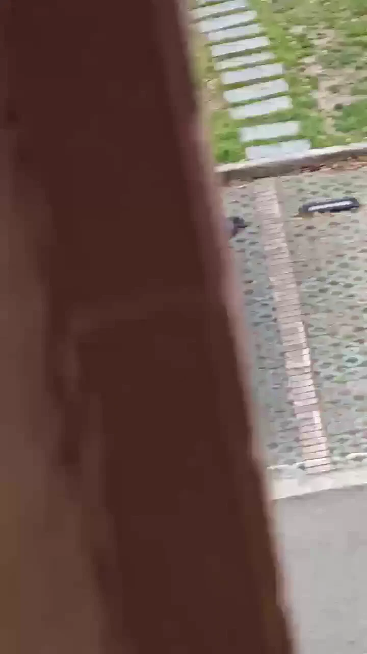 特斯拉车主一战成名😂😂😂 https://t.co/HGFZTU7pfG