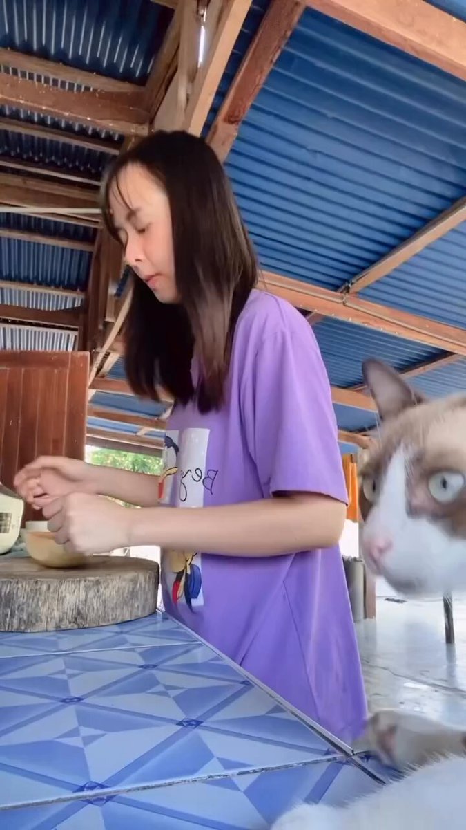 キメ顔でカメラに映ってくる猫さん、平和な時間すぎる…ꉂ🤣
 https://t.co/7WZNNFS9cn