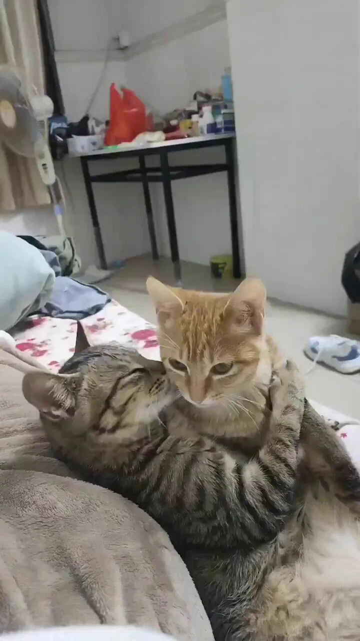 I ❤ u https://t.co/HRQmFxKKZ5