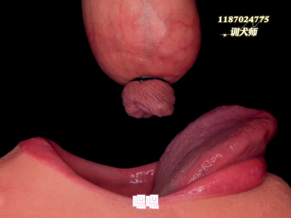 【招聘】获取方式：关注，点赞，转发，置顶私信主人：“婊子站街”1.必须穿超短裙前锁后塞的骚伪娘只配羞辱虐待沦为肉便器2.必须穿高跟鞋屁穴高潮的贱婊子只配站街卖逼终身为妓3.必须妓女浓妆公共泄欲的性玩具只配粗暴轮奸玩烂4.必须保持性感精液上瘾的肉便器只配无脑发情永久雌堕 https://t.co/ztwI7GkfGq