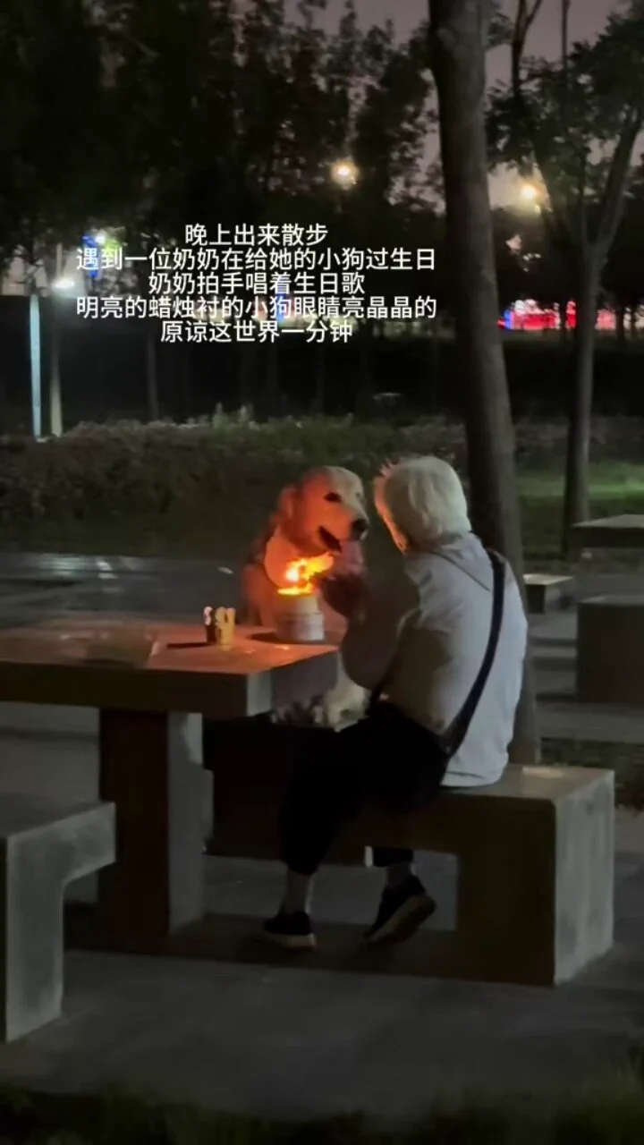 夜の公園で愛犬の誕生日を祝うお婆ちゃん
犬はケーキに目もくれずお婆ちゃんだけを見つめていました
 https://t.co/3cxmcZHcee
